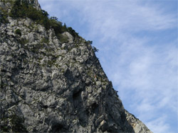 明星山岩壁